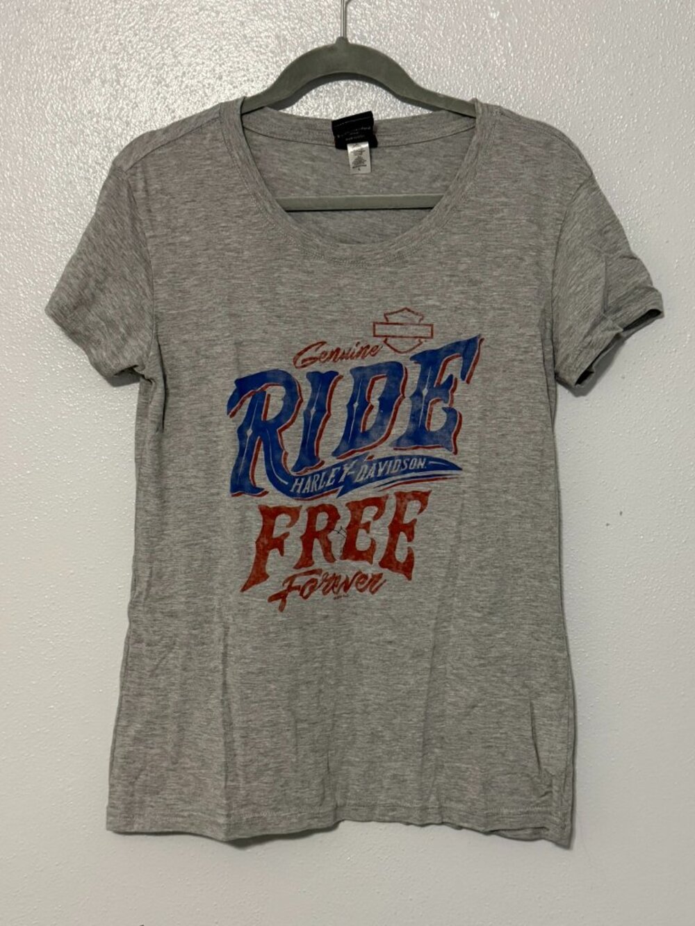 Harley-Davidson Ride Free Forever T-shirt in Gray